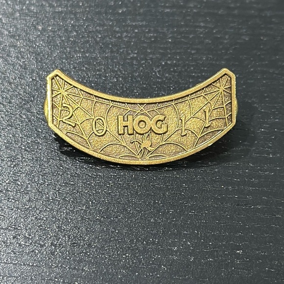 Harley-Davidson HOG Chapter 2011 Member Pin - Picture 1 of 3